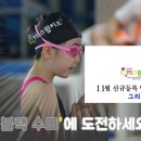 YS 스윔키즈 이미지