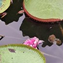 부안교 - 양평군 | 부안교