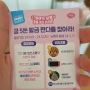 판다오라 이미지