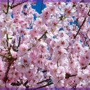 바이킹 노래연습장 이미지