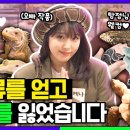 예나갤러리 이미지