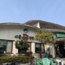 [보령] 정겨운 집밥이 먹고 싶을 때 충남 보령 맛집 &#34;시골돌솥쌈밥&#34;