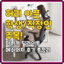 (주)바른종합관리 | 허리 아픈 학생/직장인 주목! 다니카 딜라이트 메쉬의자 후기 총정리