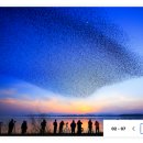 흥덕전통시장 이미지