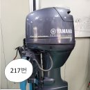 217샵 이미지