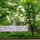 느티나무길 이미지