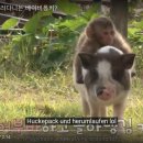 이례농장 이미지