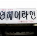무지개헤어라인