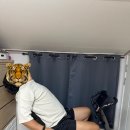 멜킨 좌식 바이크 : 자전거 유산소 운동 최적의 시간은?