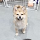 UR(인천광역시 남동구)-12-2[은봉로]-하-8 | 키즈카페 방문을 이해하게 된 39세의 일상