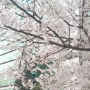 에이스축산물