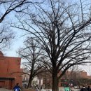 (주)샵나인엔터테인먼트 이미지