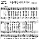 새벽기도회365-2024년5월1일(수요일) - 지혜로운 조언을 버리는 어리석은 지도자 이미지