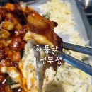해품닭 이미지