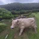 삼정(주)산청온천 | 하이스트cc 이벤트 천국 부산 가성비 골프장 라운딩 후기