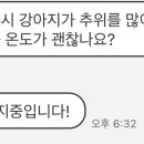 펫츠텔 이미지