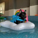 올라펜션 이미지