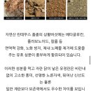 농업회사법인 효향 | 가득, 활용도 높은 신선한 유정란 – 무항생제 자연방사 계란 후기 / 농업회사법인 양계장청년 주식회사