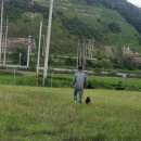 활천농장 이미지