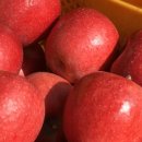 강경농장 이미지