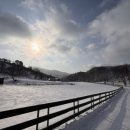 중앙목장 이미지