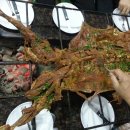 아름다운 산장 이미지