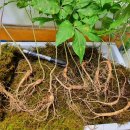 산양마을(주) 이미지