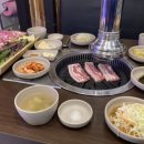 진품정육 이미지