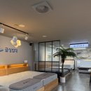 삼산금성 | 금성침대 울산삼산점 ㅣ 울산삼산가구거리 울산매트리스 저렴한곳 추천