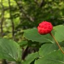 동홍로99번길 이미지