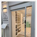 스트레칭&힐링요가 | 세종시 요가 힐링 스팟! 데일리 요가&amp;스트레칭에서 초보자도 부담 없이 즐기는 스트레칭 클래스 후기