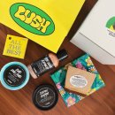 더올(The all) | 러쉬 선물 추천_올 더 베스트 세트 All the best set: 7만원대 고급진 집들이 선물 감사 선물로 추천