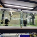 젊은열대어 이미지