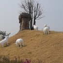 안성맞춤랜드공원3 이미지