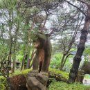 신흥교통(주) | 신흥레저타운 워터월드에서 가족과 함께하는 시원한 여름 추억