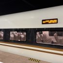 세일여관 | 25년 11월 황산 가족여행 준비