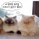 키키키 네이버블로그
