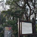 오렌즈 제주서귀포점 이미지