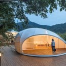 People Who Lost Love 이미지