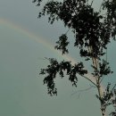 미니오락실 이미지