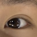 씨씨즈속눈썹 이미지