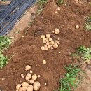 (주)부지런 이미지