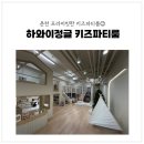 춘천 프라이빗한 키즈파티룸, 하와이정글 키즈파티룸 후기