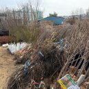 산림조합중앙회 광주전남지역본부(4종) | 광주 산림조합 나무시장 다녀왔어요 🌳 (묘목 종류 엄청 많습니다)