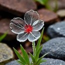 역삼2동주민센터 이미지