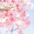 서문로29번길 이미지
