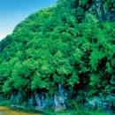 도동문화마을협동조합 이미지