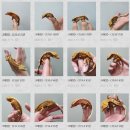 수원-0963 이미지