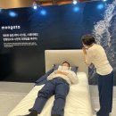 몽가타