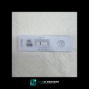 고척원동물의료센터 | 남양주 동물병원 강아지 특발성 발작 치료 후기